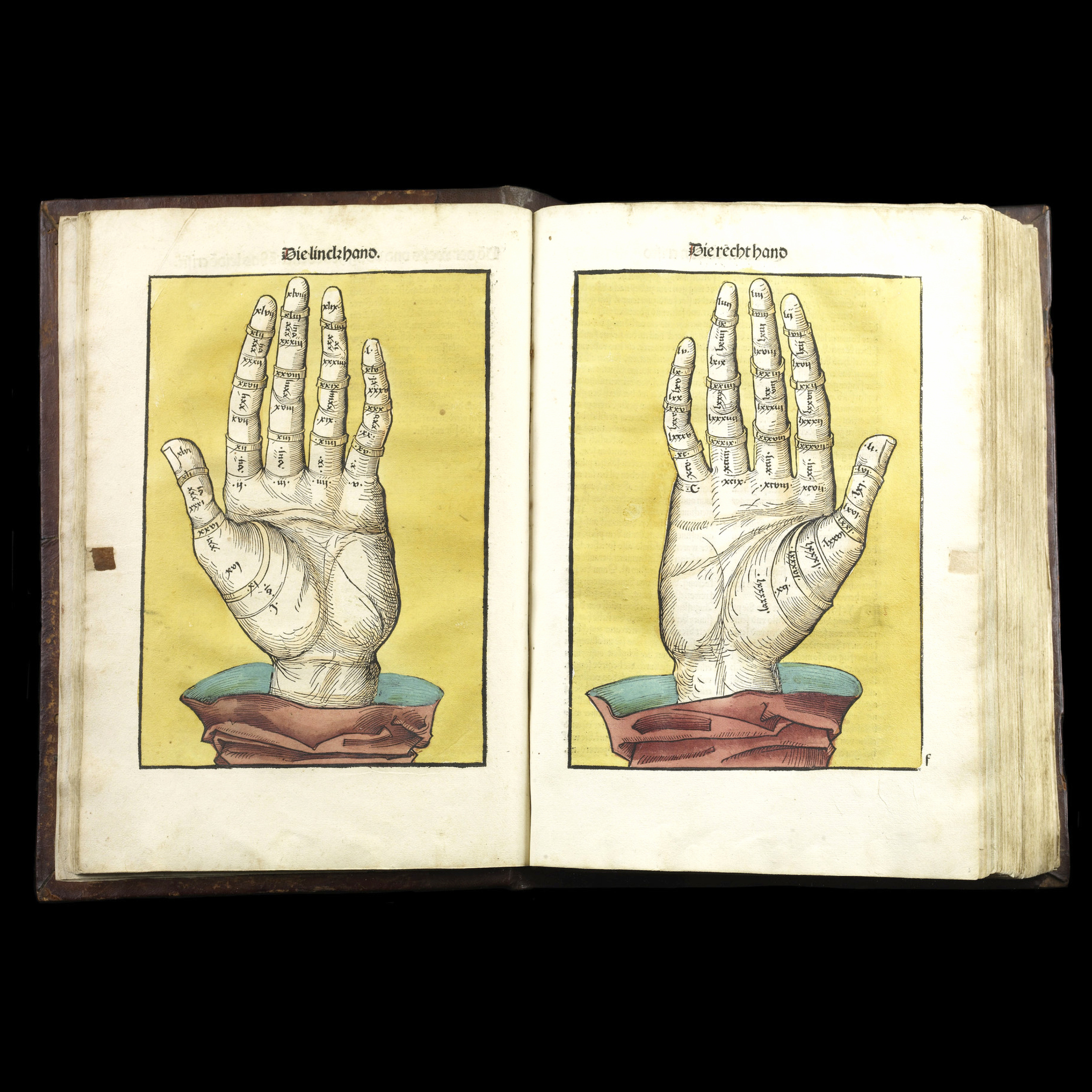 Two-page spread showing woodcut prints of left and write hands, with parts of the hands labeled. Hand colored, yellow background with reddish and green colored sleeves below the hands.