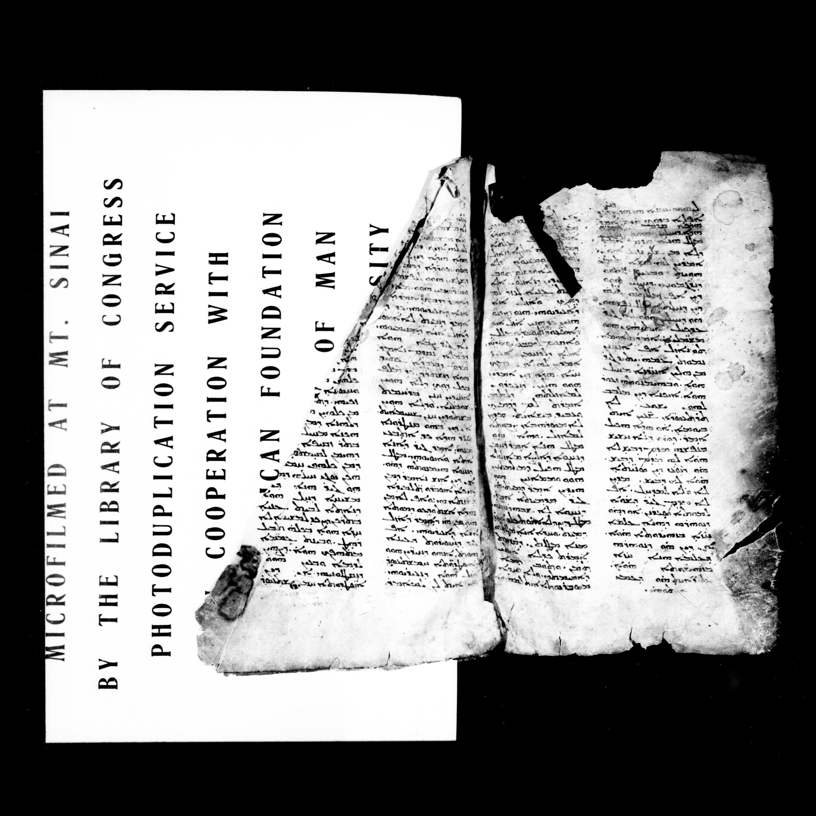 Microfilmed image of an opening from a 9th-century Syriac manuscript from Mount Sinai.